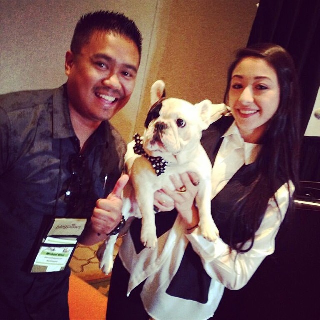 Manny the Frenchie at BlogPaws