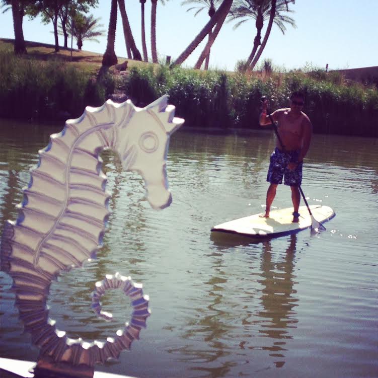 Michael Paddle Boarding at BlogPaws