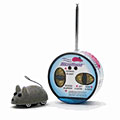 Micro Mouse Racer