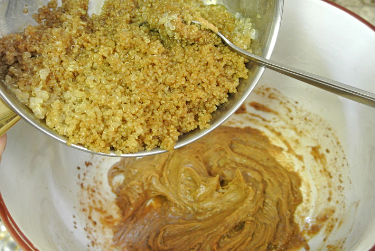 Quinoa Balls Recipe