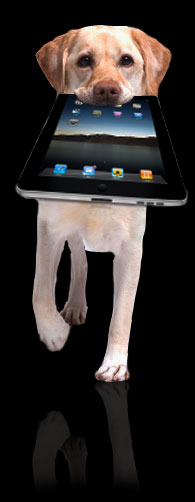 Mobile Dog