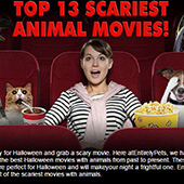 link to 10 Must-have Products for Pet Owners