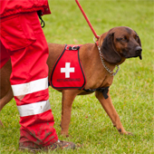 National Animal Preparedness Day