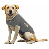 Thundershirt Dog Anxiety Solution