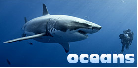 Oceans