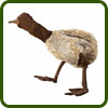 Ostrich