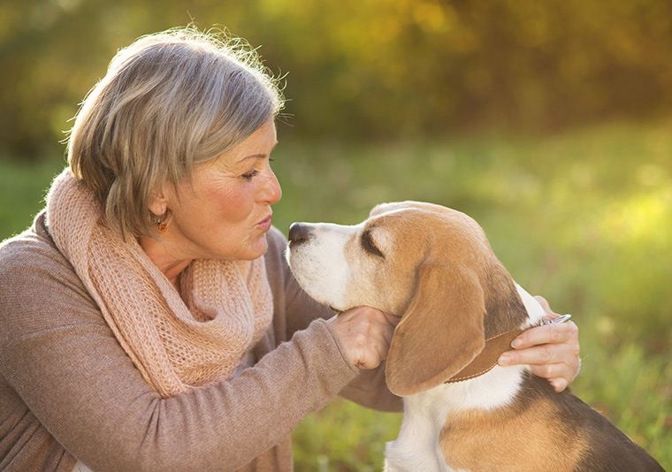 animal therapy