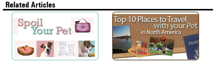 Pampering Related Articles