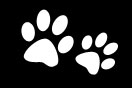 Entirely Pets Paws