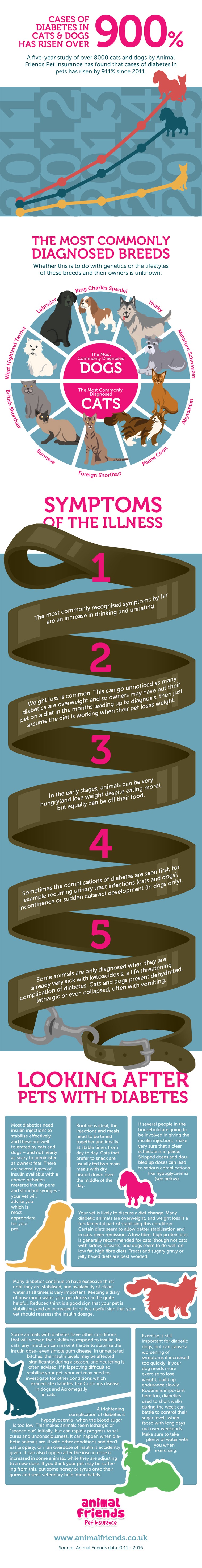 Pet-diabetes / Infographic