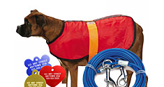 Pet Essentials