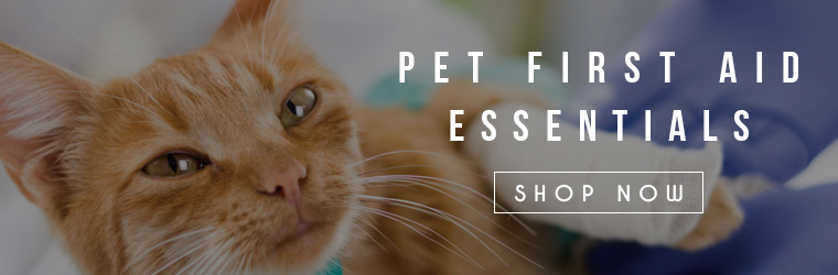 Pet First Aid Essential Shop Now Banner
