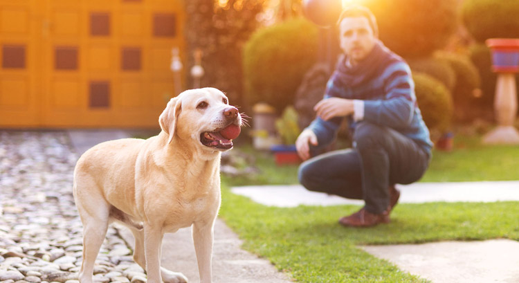 Top 10 Places to Take Your Pet on the West Coast