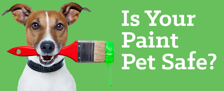Is Your Paint Pet Safe?