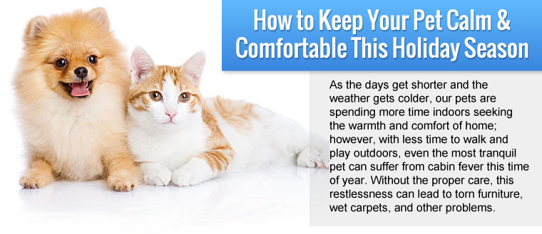 Pet Calming
