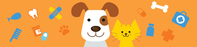 Pet Care