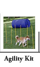 Agility