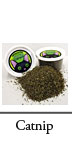 Catnip