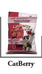 Berry Treat