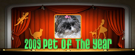 Pet of the Year