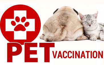 Pet Vaccines Article