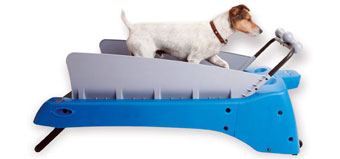 PETZEN DOGTREAD TREADMILL - SMALL