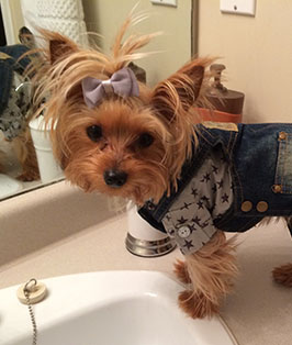 Pet of the Week