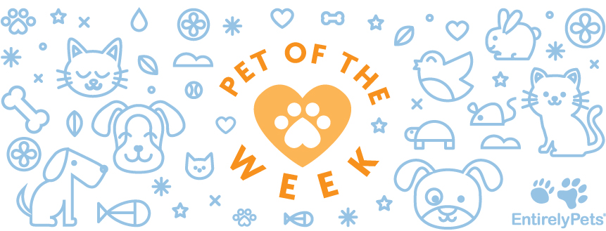Pet of the Week