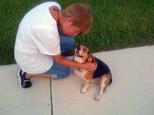 Pet of the Week
