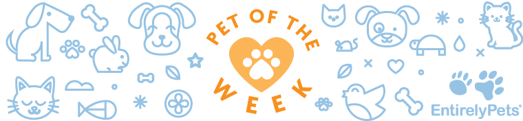 Pet of the Week