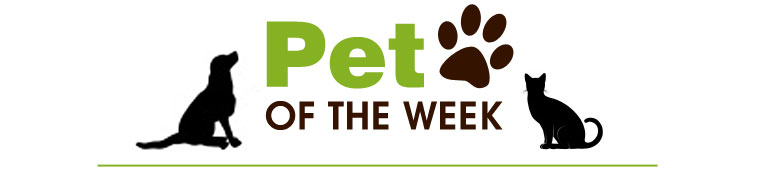 Pet of the Week