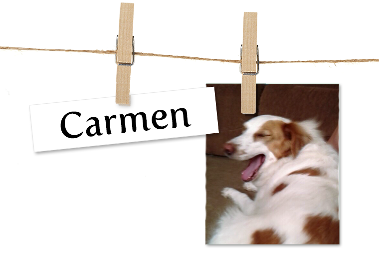 Pet of the Week