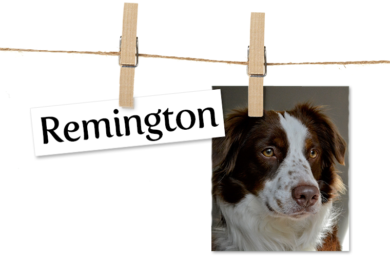 Pet of the Week