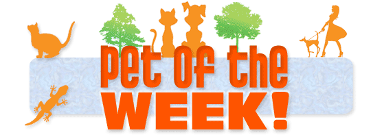 Pet of the Week