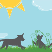 link to Preparing the Pet-Friendly Garde?