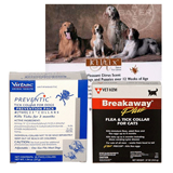 Preventic Collar Stops Ticks on Dogs
