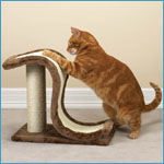 Meow Town Scratch N Slide