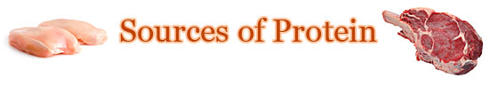 Sources of Protein