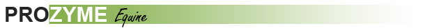Prozyme Equine