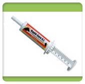 Rapid-Care G.I. for Dogs & Cats