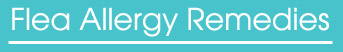 Flea Allergy Remedies