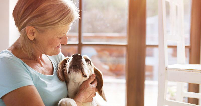 Top 10 Places to Take Your Pet on the West Coast 1