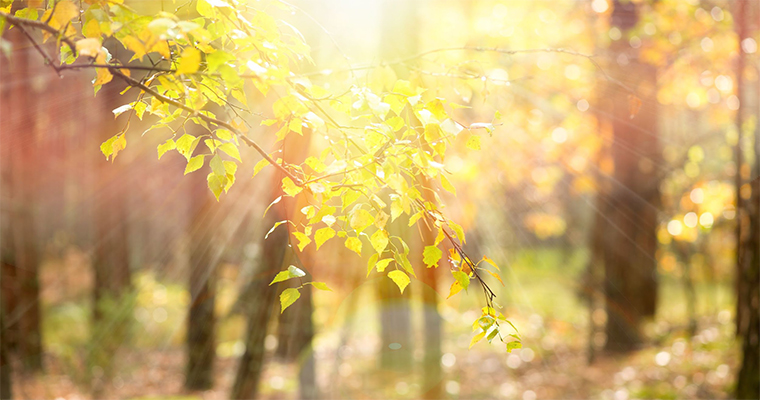 Top 10 Places to Take Your Pet on the West Coast