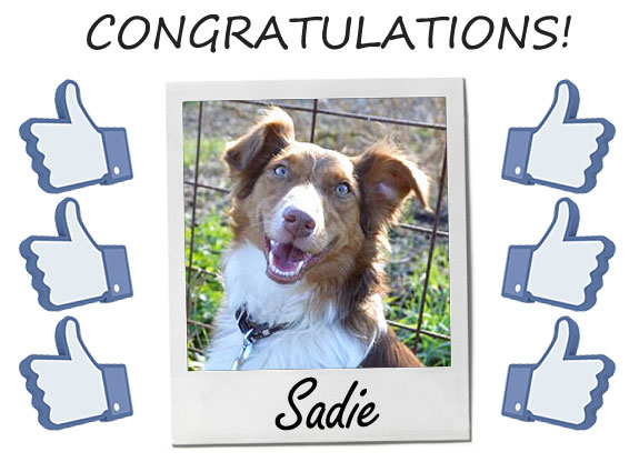 Congratulations Sadie!