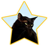 Salem Saberhagen (Sabrina The Teenage Witch)