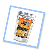 Salmon Treats