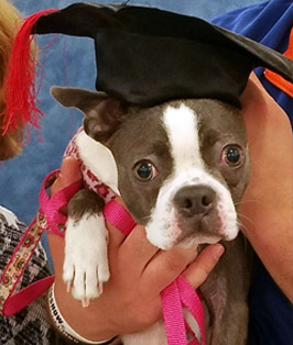 Pet of the Week