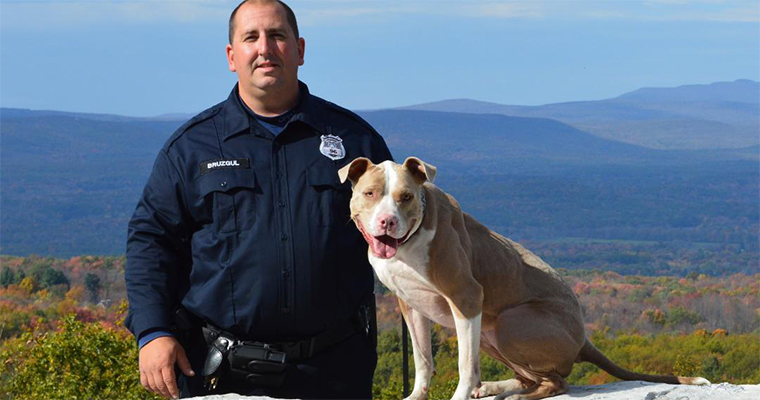 Top 10 Places to Take Your Pet on the West Coast 1