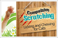 Cat Scratching Remedies
