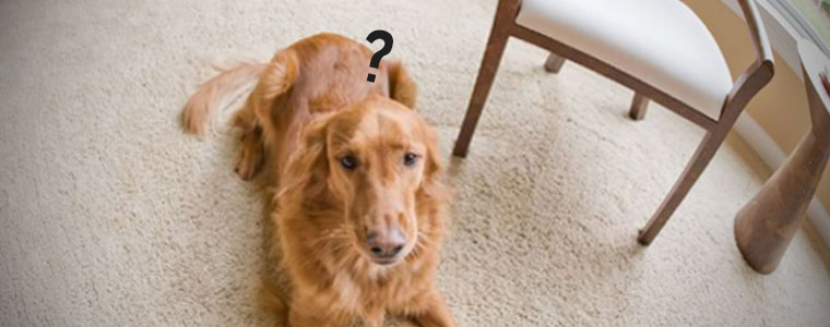 security camera banner